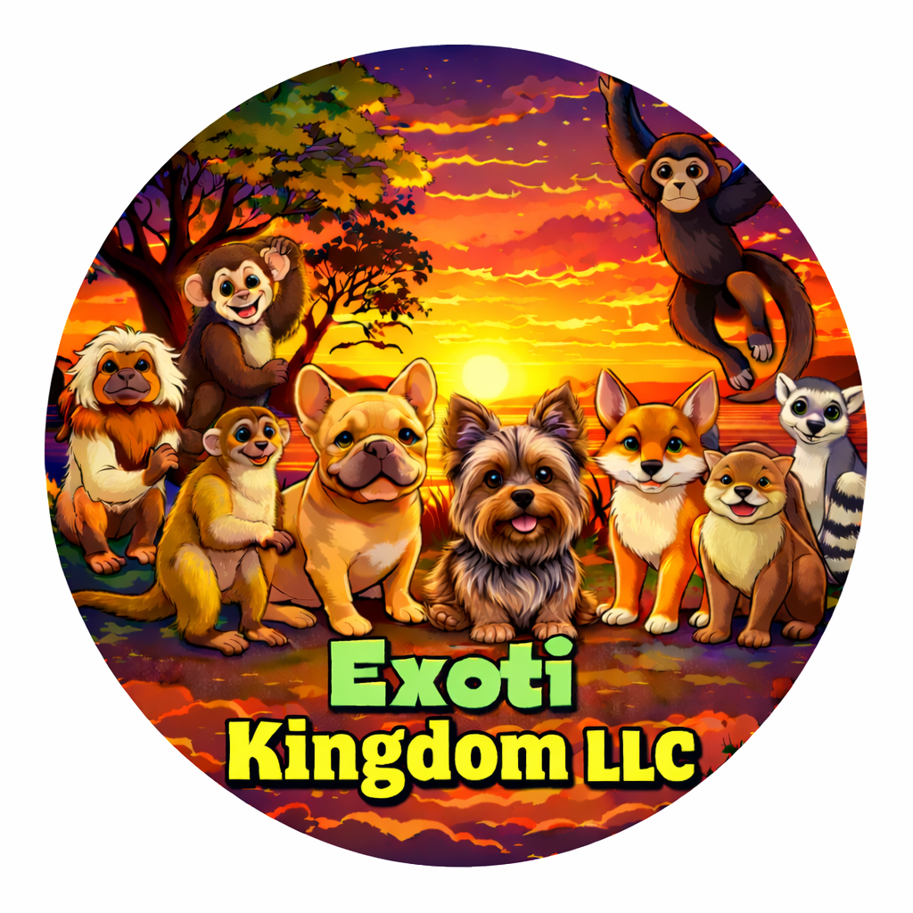 Exoti Kingdom LLC